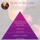 <B>PEACH BELLINI</B> SPRAY 250 ml odświeżacz powietrza PREMIUM